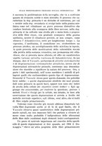 giornale/PUV0028278/1913/unico/00000029