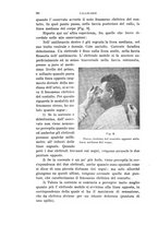 giornale/PUV0028278/1913/unico/00000090