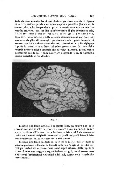 Rivista sperimentale di freniatria e medicina legale delle alienazioni mentali organo della Società freniatrica italiana