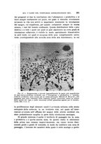 giornale/PUV0028278/1914/unico/00000395