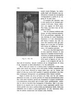giornale/PUV0028278/1914/unico/00000804