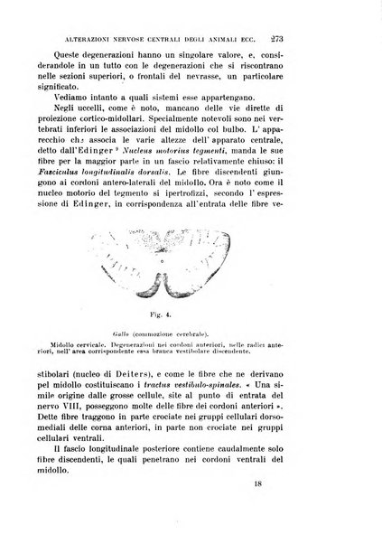 Rivista sperimentale di freniatria e medicina legale delle alienazioni mentali organo della Società freniatrica italiana