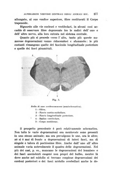 Rivista sperimentale di freniatria e medicina legale delle alienazioni mentali organo della Società freniatrica italiana