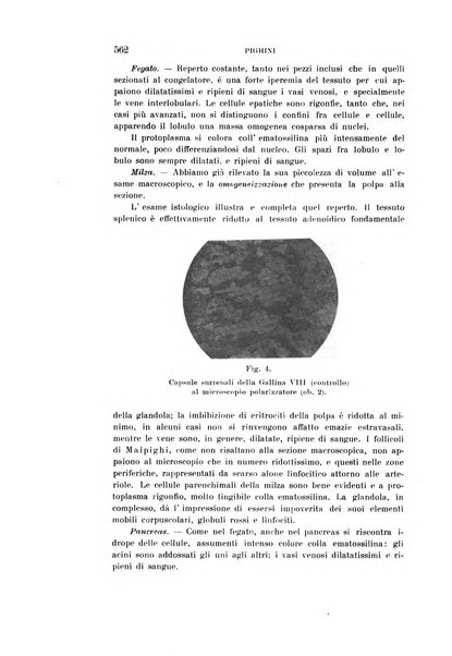 Rivista sperimentale di freniatria e medicina legale delle alienazioni mentali organo della Società freniatrica italiana