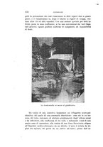 giornale/PUV0028278/1916-1917/unico/00000184
