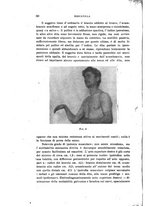 giornale/PUV0028278/1919-1920/unico/00000070