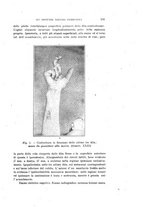 giornale/PUV0028278/1919-1920/unico/00000201