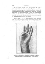 giornale/PUV0028278/1919-1920/unico/00000202