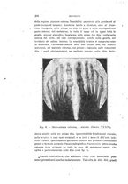 giornale/PUV0028278/1919-1920/unico/00000214