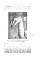 giornale/PUV0028278/1919-1920/unico/00000217