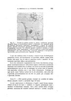 giornale/PUV0028278/1920/unico/00000285
