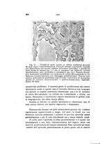 giornale/PUV0028278/1920/unico/00000298
