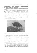 giornale/PUV0028278/1922/unico/00000015
