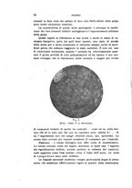 giornale/PUV0028278/1922/unico/00000046