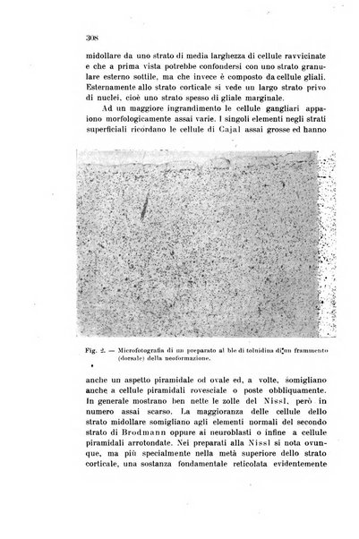 Rivista sperimentale di freniatria e medicina legale delle alienazioni mentali organo della Società freniatrica italiana