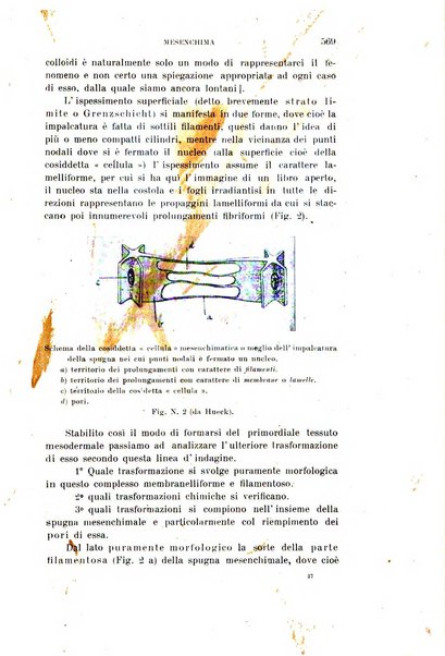 Rivista sperimentale di freniatria e medicina legale delle alienazioni mentali organo della Società freniatrica italiana