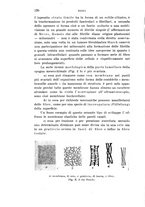 giornale/PUV0028278/1924/unico/00000592