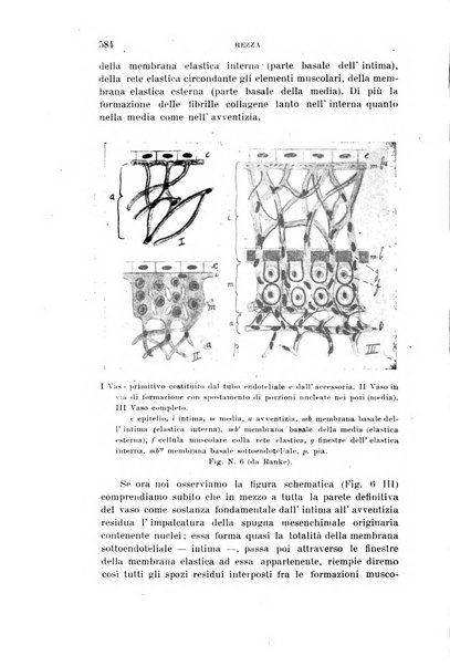 Rivista sperimentale di freniatria e medicina legale delle alienazioni mentali organo della Società freniatrica italiana