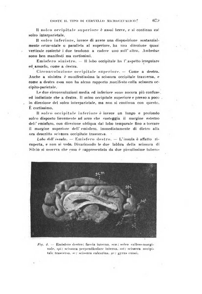 Rivista sperimentale di freniatria e medicina legale delle alienazioni mentali organo della Società freniatrica italiana