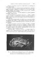 giornale/PUV0028278/1924/unico/00000701