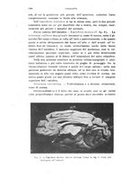 giornale/PUV0028278/1924/unico/00000702