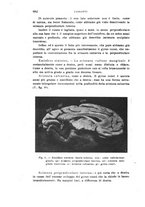 giornale/PUV0028278/1924/unico/00000704