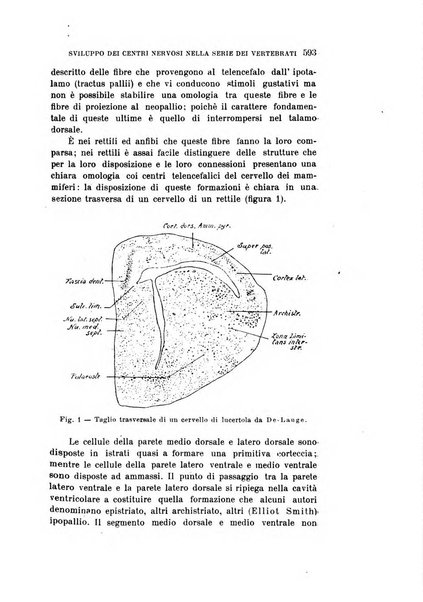 Rivista sperimentale di freniatria e medicina legale delle alienazioni mentali organo della Società freniatrica italiana