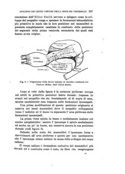 Rivista sperimentale di freniatria e medicina legale delle alienazioni mentali organo della Società freniatrica italiana