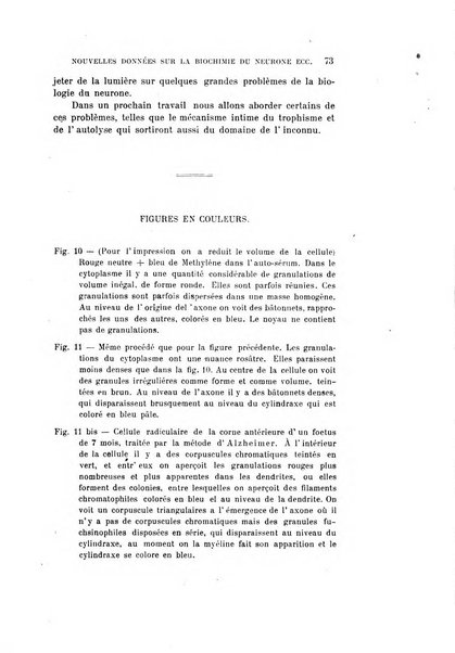 Rivista sperimentale di freniatria e medicina legale delle alienazioni mentali organo della Società freniatrica italiana