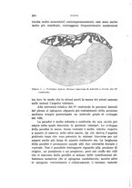 giornale/PUV0028278/1928/unico/00000270