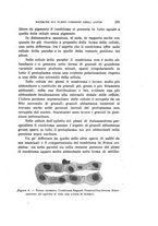 giornale/PUV0028278/1928/unico/00000281