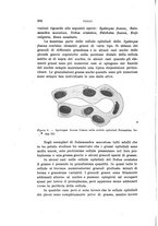 giornale/PUV0028278/1928/unico/00000284