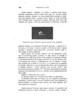 giornale/PUV0028278/1928/unico/00000332