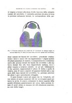 giornale/PUV0028278/1929/unico/00000335