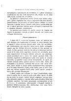 giornale/PUV0028278/1929/unico/00000343