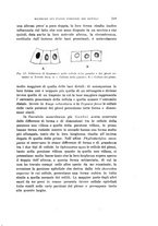 giornale/PUV0028278/1929/unico/00000351