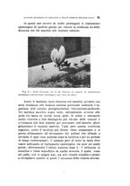 giornale/PUV0028278/1931/unico/00000035