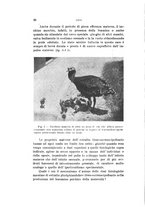 giornale/PUV0028278/1931/unico/00000036
