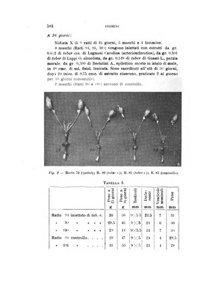 Rivista sperimentale di freniatria e medicina legale delle alienazioni mentali organo della Società freniatrica italiana