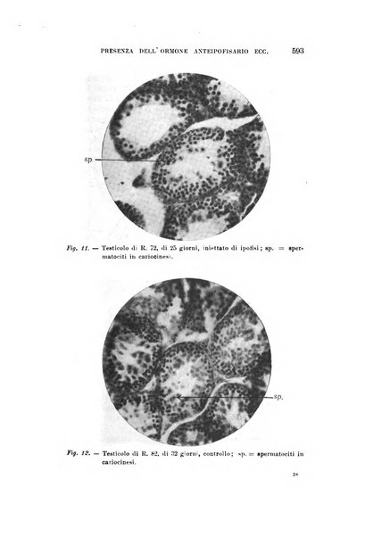 Rivista sperimentale di freniatria e medicina legale delle alienazioni mentali organo della Società freniatrica italiana