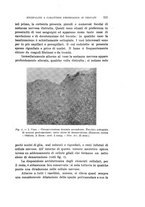 giornale/PUV0028278/1933/V.57/00000161