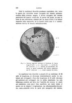 giornale/PUV0028278/1933/V.57/00000318