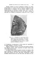 giornale/PUV0028278/1933/V.57/00000851