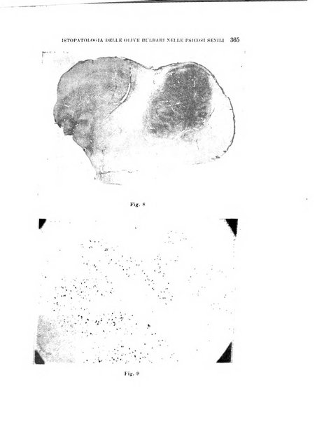 Rivista sperimentale di freniatria e medicina legale delle alienazioni mentali organo della Società freniatrica italiana