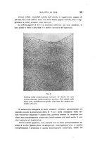 giornale/PUV0028278/1935/V.59/00000077