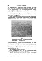 giornale/PUV0028278/1935/V.59/00000082