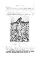 giornale/PUV0028278/1935/V.59/00000083