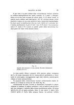 giornale/PUV0028278/1935/V.59/00000089