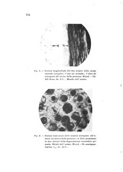 Rivista sperimentale di freniatria e medicina legale delle alienazioni mentali organo della Società freniatrica italiana