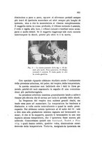giornale/PUV0028278/1937/unico/00000913